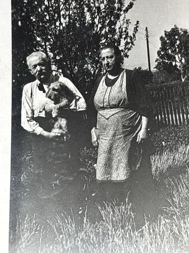 Foto älteres paar - älteres,