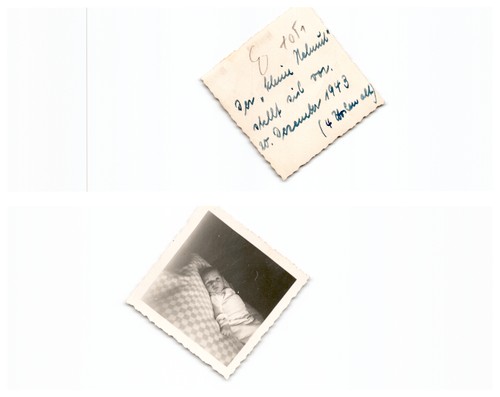 Weener - (f5768a1051),