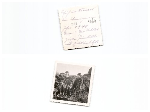 Weener - (f5768a1064),