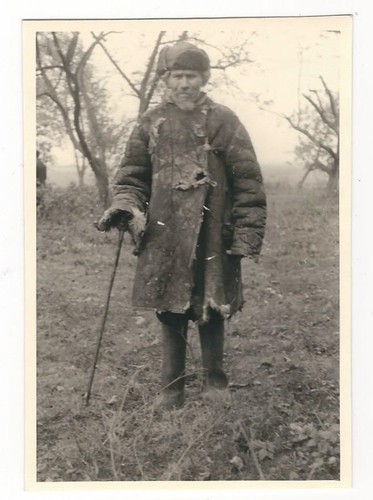 468 foto russland - ,