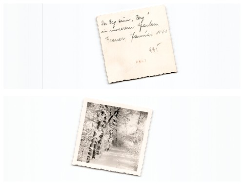 Weener - (f5768a995),