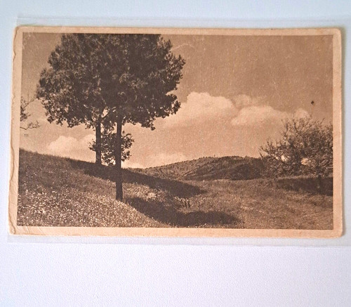 Echtfoto-Ansichtskarte