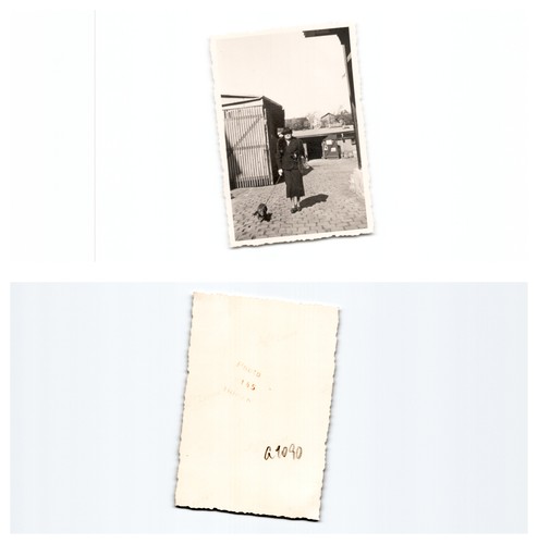 Weener - (f5768a1090),